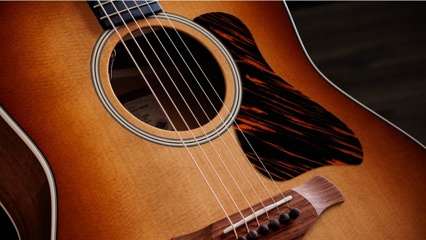 Taylor Gold Label 517e Mahogany Torrefied Sitka Sunburst Firestripe Pickguard