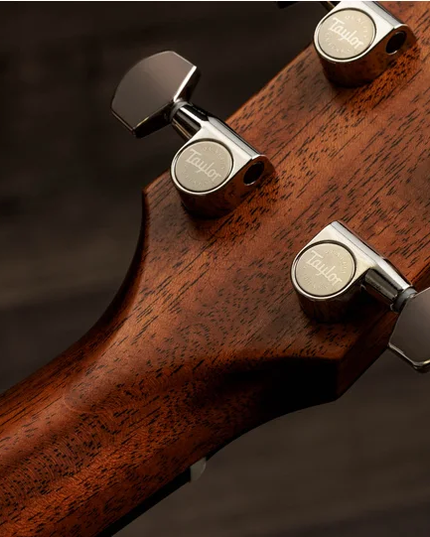 Taylor Gold Label 717e Grand Pacific Indian Rosewood Torrefied Sitka Spruce Natural