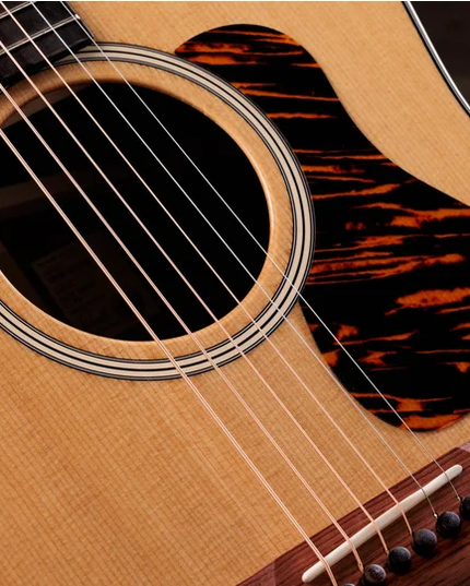 Taylor Gold Label 717e Grand Pacific Indian Rosewood Torrefied Sitka Spruce Natural