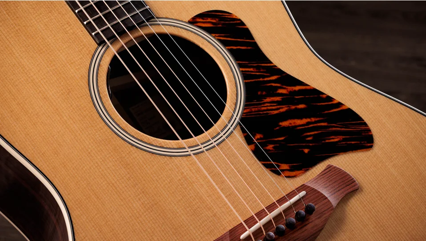 Taylor Gold Label 717e Grand Pacific Indian Rosewood Torrefied Sitka Spruce Natural