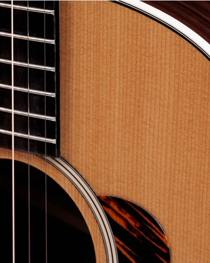 Taylor Gold Label 717e Grand Pacific Indian Rosewood Torrefied Sitka Spruce Natural