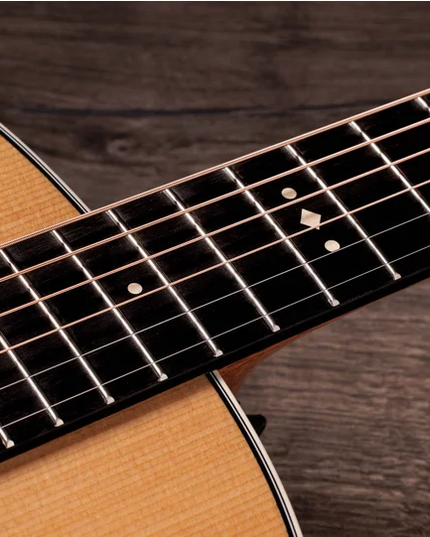 Taylor Gold Label 717e Grand Pacific Indian Rosewood Torrefied Sitka Spruce Natural