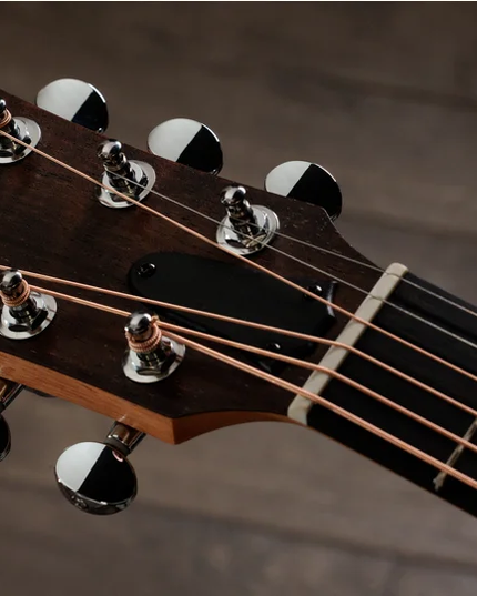 Taylor Guitars 4 Vets GS Mini Americana Special Edition