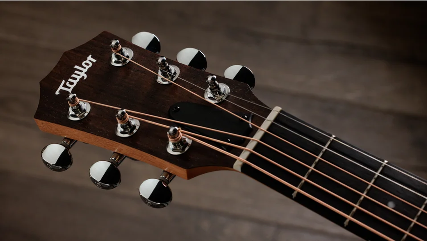Taylor Guitars 4 Vets GS Mini Americana Special Edition