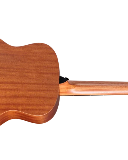 Taylor Guitars 4 Vets GS Mini Americana Special Edition