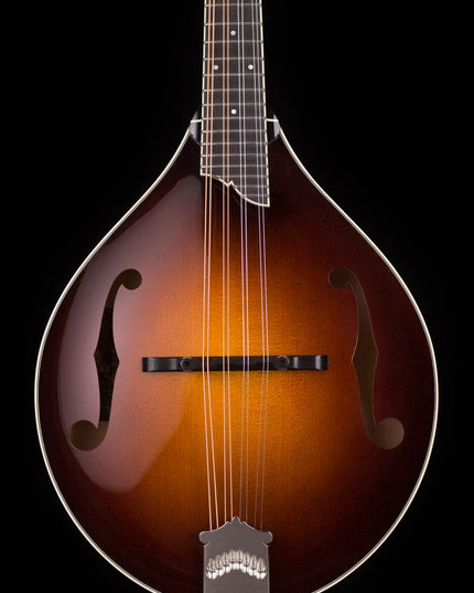 Collings MT2MANDO A-Style MT2 Mandolin w/Case