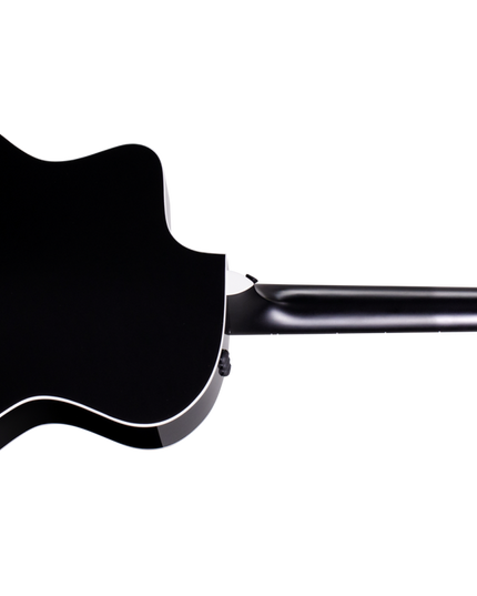 Taylor 224ce DLX Limited Edition Acoustic-Electric Guitar Trans Grey