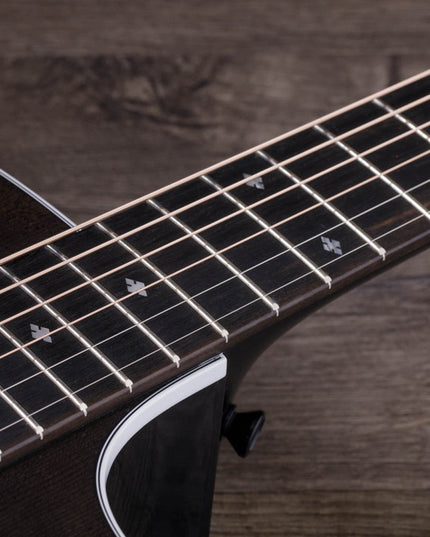 Taylor 224ce DLX Limited Edition Acoustic-Electric Guitar Trans Grey