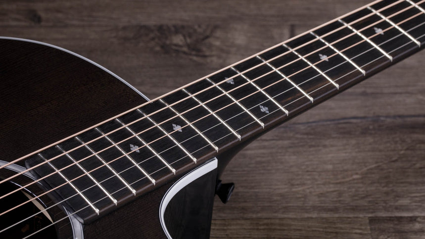 Taylor 224ce DLX Limited Edition Acoustic-Electric Guitar Trans Grey