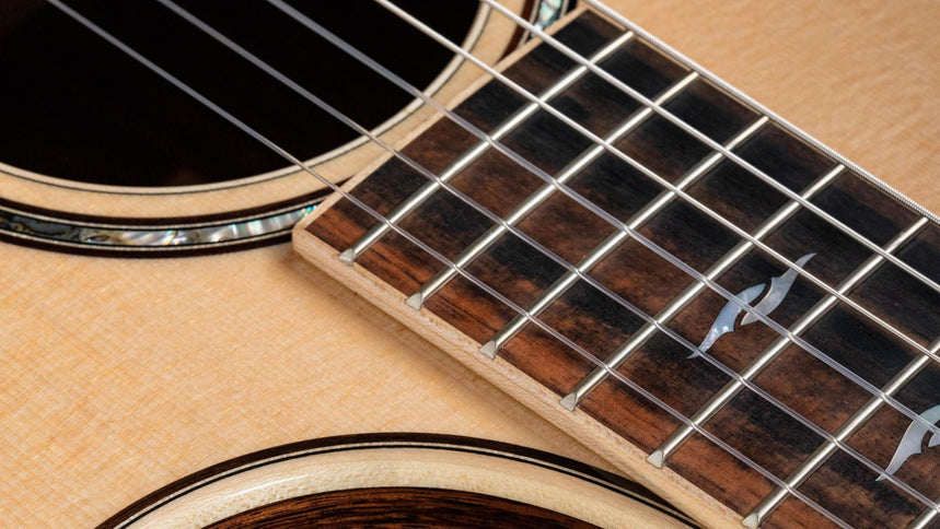 Taylor 814ce-N Grand Auditorium Acoustic-Electric Guitar